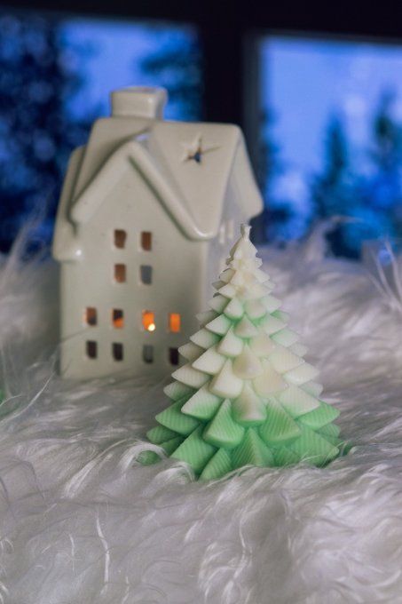 Petit sapin 